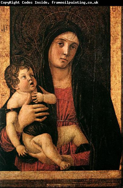 BELLINI, Giovanni Madonna with Child fe5