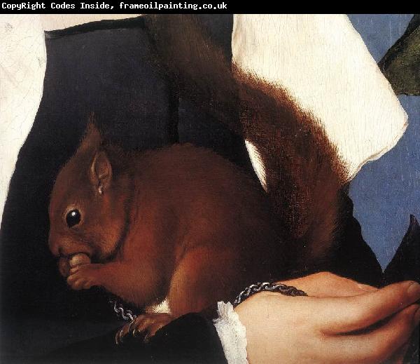 HOLBEIN, Hans the Younger Portrait of a Lady with a Squirrel and a Starling (detail) sf