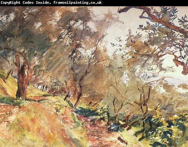 John Singer Sargent Trees on the Hillside at Majorca