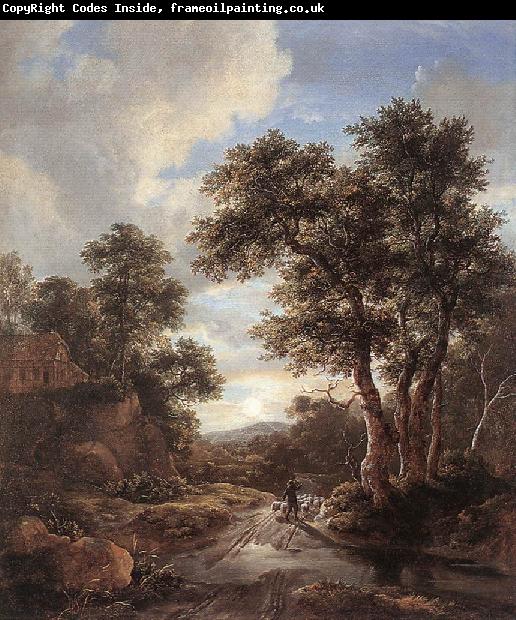 RUISDAEL, Jacob Isaackszon van Sunrise in a Wood at