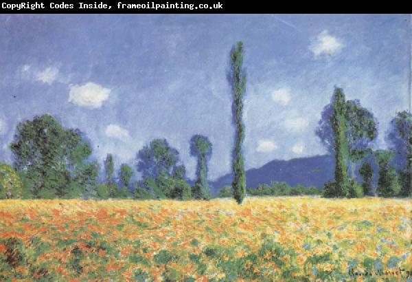 Claude Monet Poppy Field