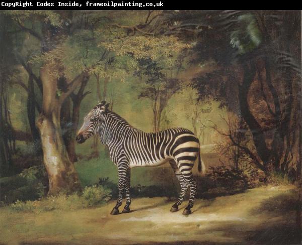 George Stubbs Horse