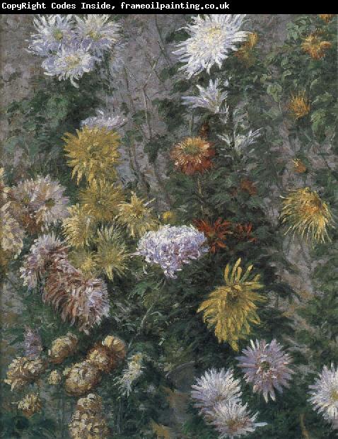 Gustave Caillebotte White and yellow chrysanthemum