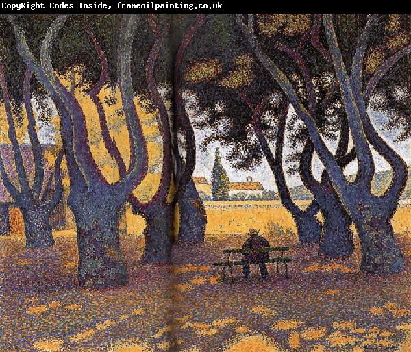 Paul Signac Chinar