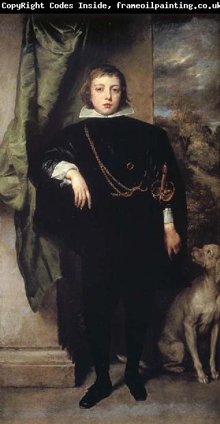 Anthony Van Dyck Prince Rupert of the Palatinate