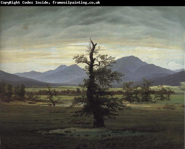 Caspar David Friedrich The Solitary Tree