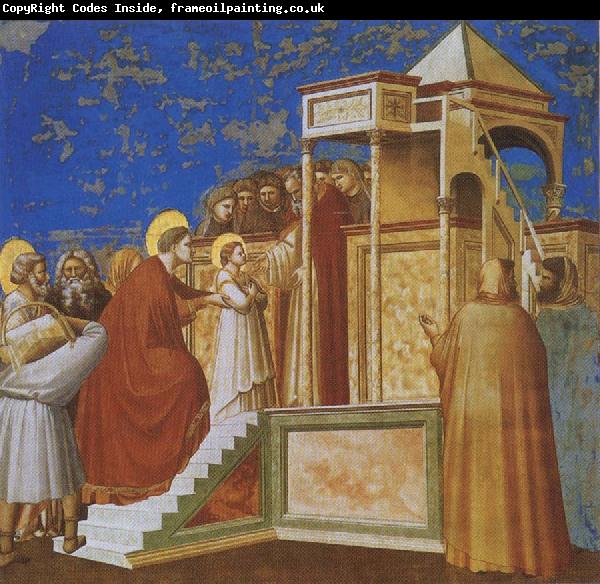 GIOTTO di Bondone Presentation of the Virgin in the Temple