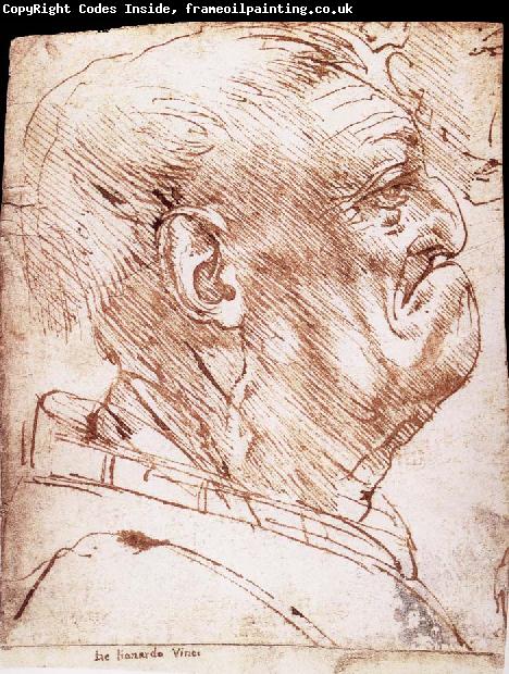 LEONARDO da Vinci Grotesque profile of a man