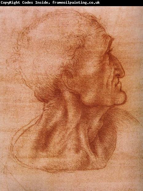 LEONARDO da Vinci Study fur the communion