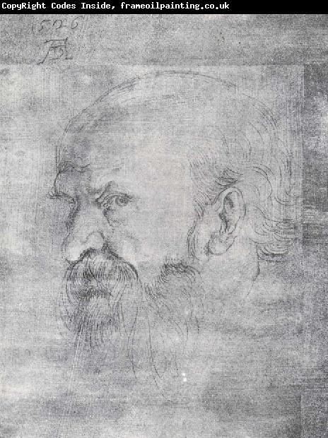 Albrecht Durer The Head of St.Paul