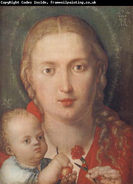 Albrecht Durer The Madonna with a Carna-tion