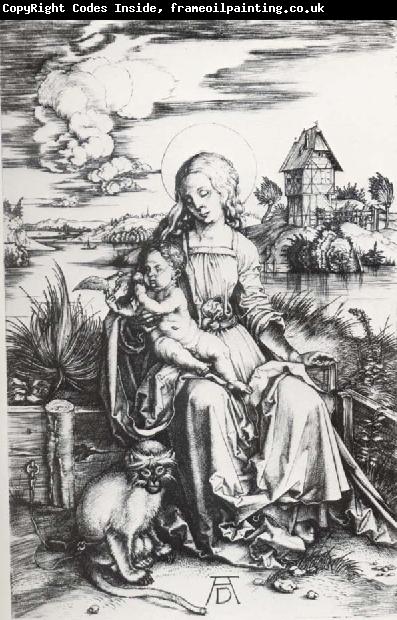 Albrecht Durer The Madonna with the Monkey