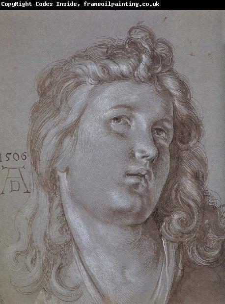 Albrecht Durer Head of an  angel