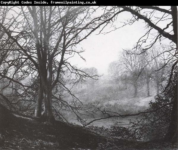 Atkinson Grimshaw Study of Beeches