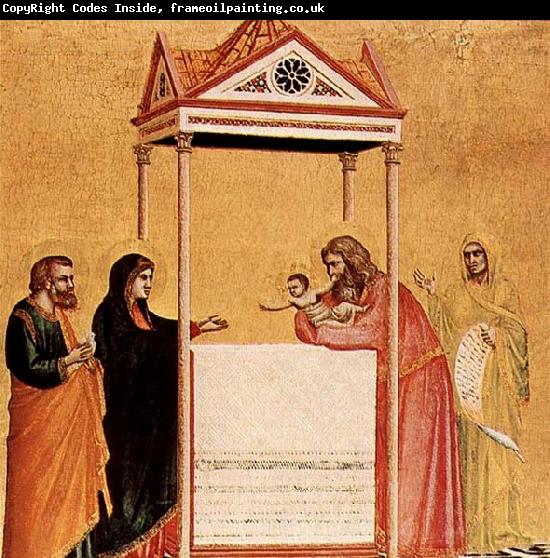 GIOTTO di Bondone Presentation in the Temple