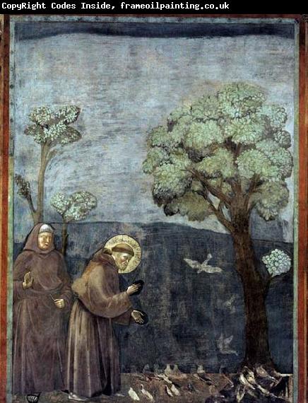 GIOTTO di Bondone Sermon to the Birds