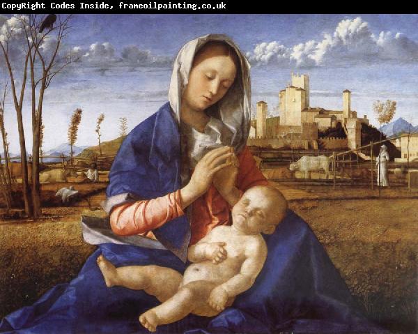 Giovanni Bellini Madonna in the Meadow