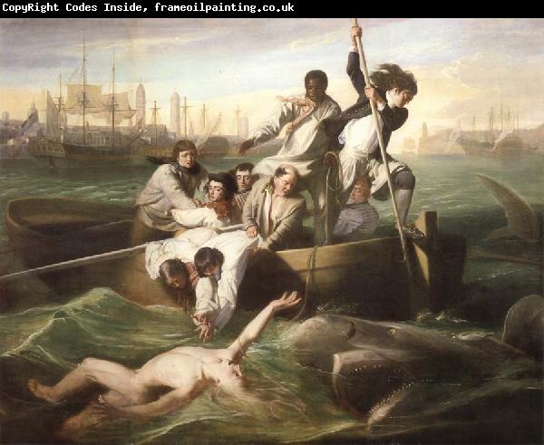John Singleton Copley Watson und der Hai