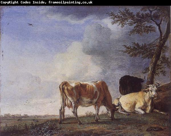 POTTER, Paulus Three Cows in a Pasture