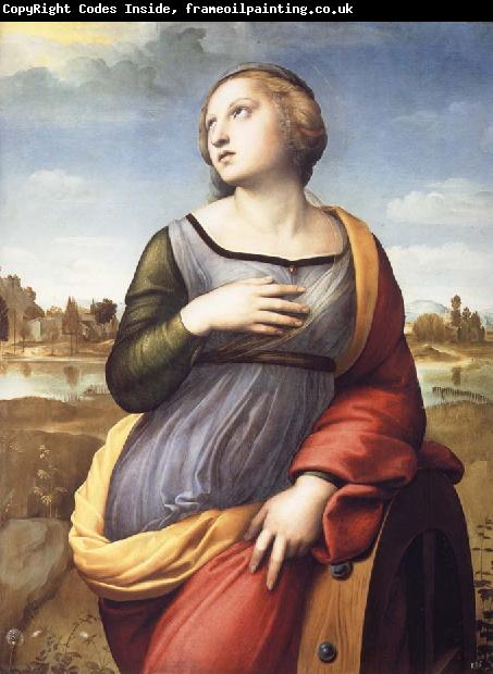 Raphael Saint Catherine of Alexandria