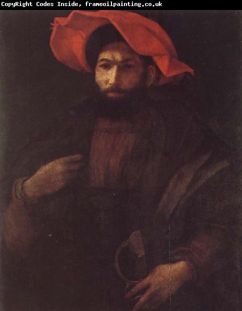 Rosso Fiorentino Portrait of a Kinight