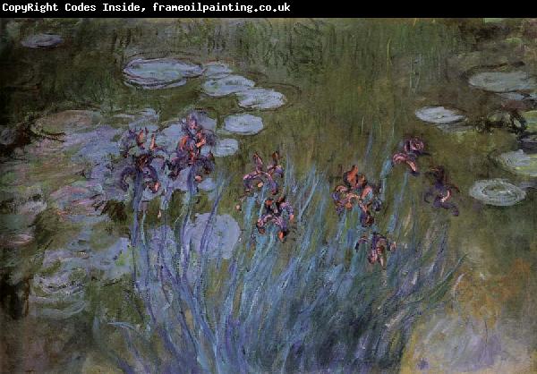 Claude Monet Irises and Water Lillies