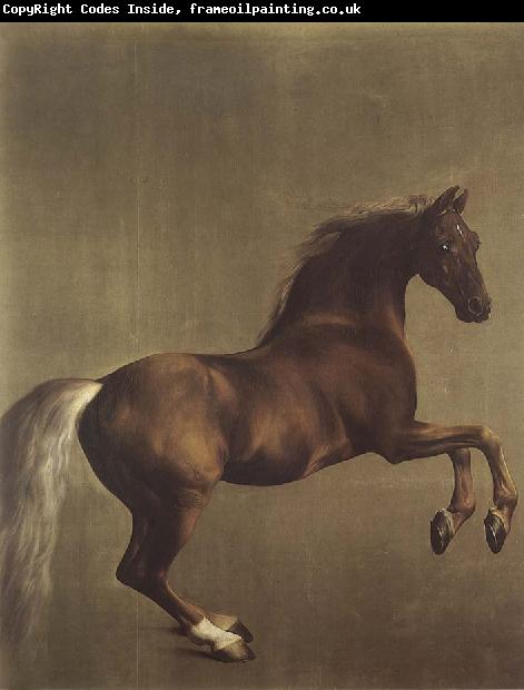 George Stubbs Whistlejacket