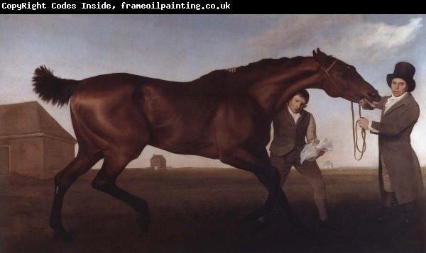 George Stubbs Hambletonian, Rubbing Down