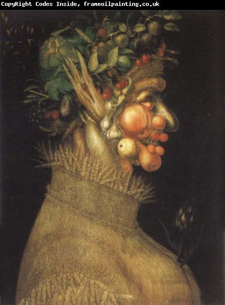 Giuseppe Arcimboldo Museum art historic the summer