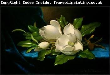 unknow artist Still life floral, all kinds of reality flowers oil painting  65