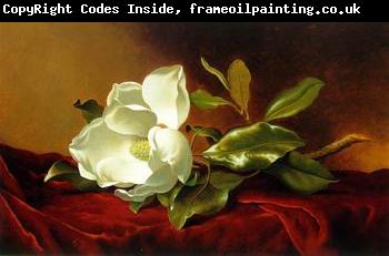 unknow artist Still life floral, all kinds of reality flowers oil painting 06