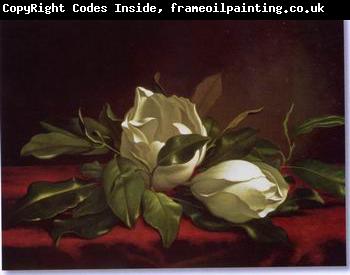 unknow artist Still life floral, all kinds of reality flowers oil painting 29