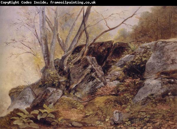Asher Brown Durand Study from Nature,Bronxville