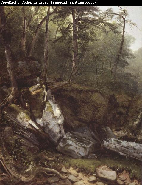 Asher Brown Durand Study from Nature rocks and trees in the Catskills