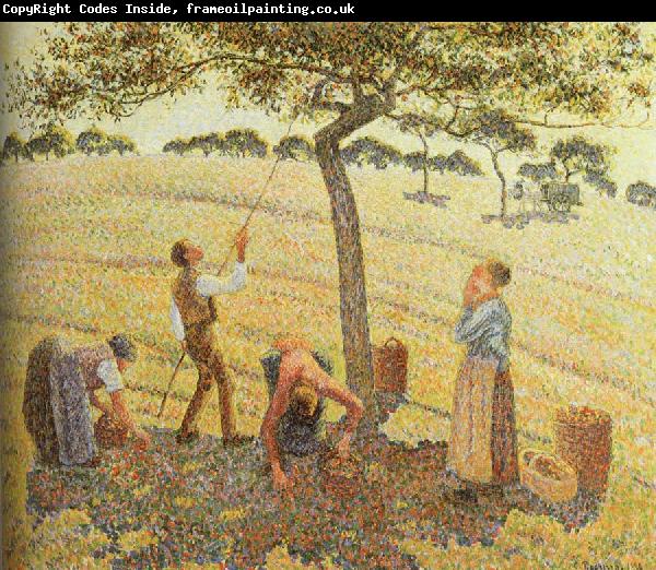 Camille Pissarro Pick  Apples