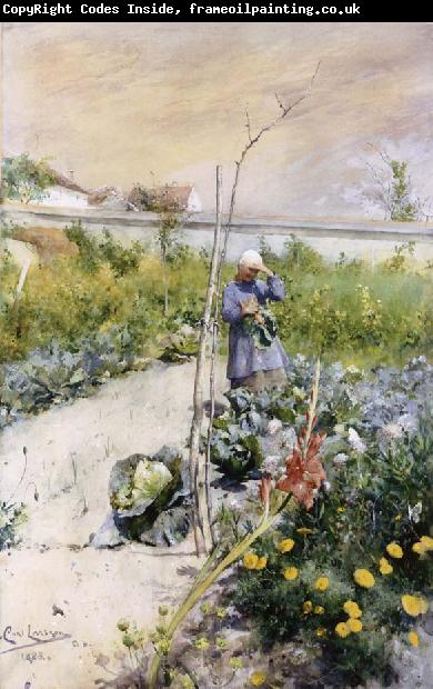 Carl Larsson IN Kokstradgarden