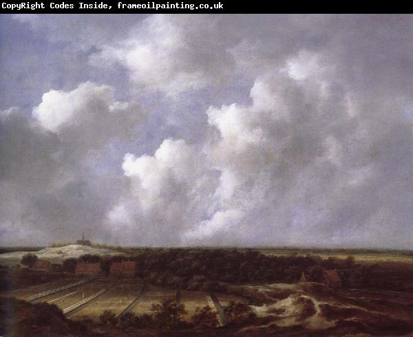 Jacob van Ruisdael View of the Dunes near Bl oemendaal with Bleaching Fields