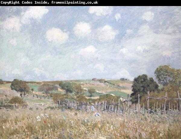 Alfred Sisley Ang