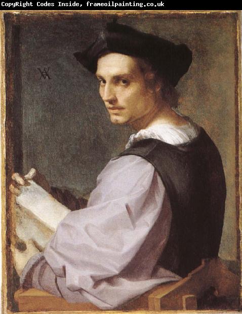 Andrea del Sarto Portratt of young man