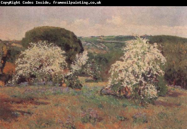 Aureliano De Beruete Y Moret Hawthorn in Blossom