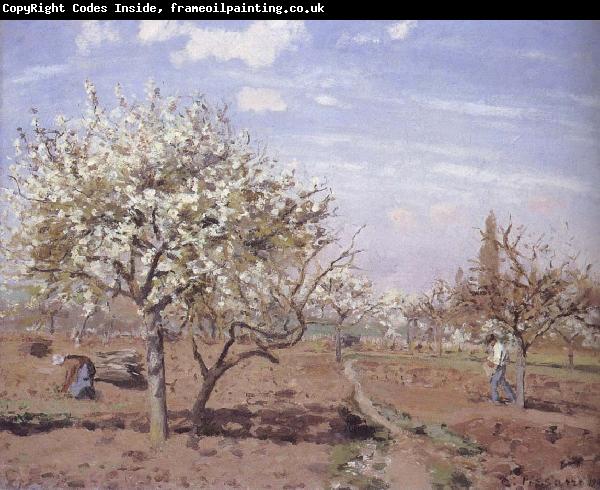 Camille Pissarro Flowering frukttradgard Louveciennes