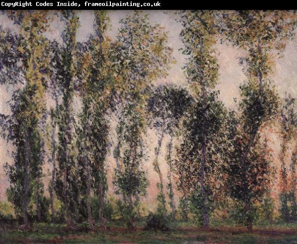 Claude Monet Poplars at Giverny