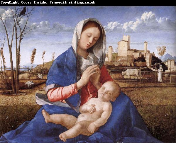 Giovanni Bellini Madonna pa indicated