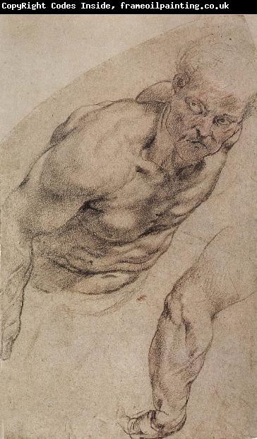 Peter Paul Rubens Portrait of naked man