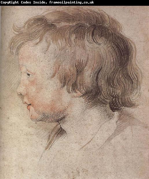 Peter Paul Rubens Portrait of Younger Rubens