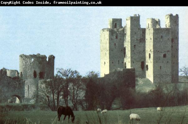 unknow artist Trim Castle