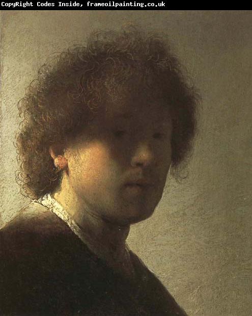 Rembrandt van rijn Self-Portrait as a Young Man