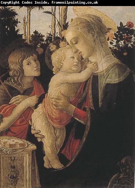 Sandro Botticelli Madonna of the Rose Garden or Madonna and Child with St John the Baptist