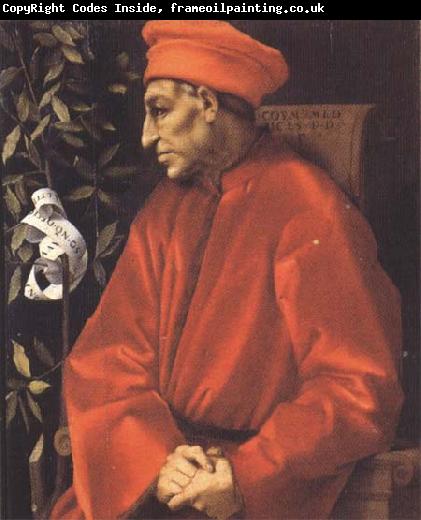 Sandro Botticelli Pontormo,Portrait of Cosimo the Elder