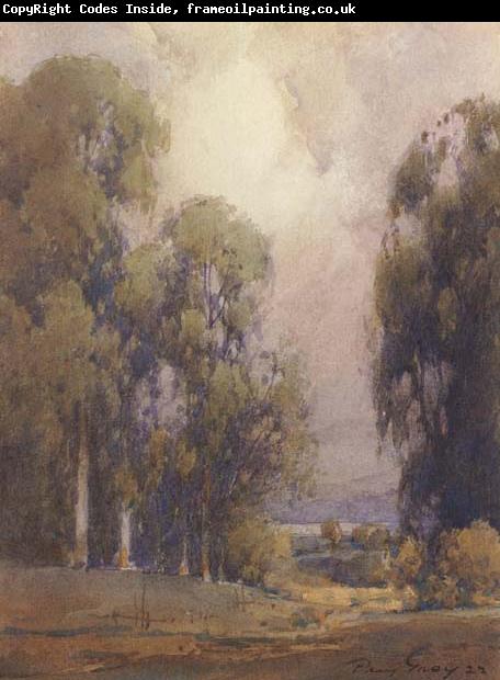 unknow artist Eucalyptus Landscape